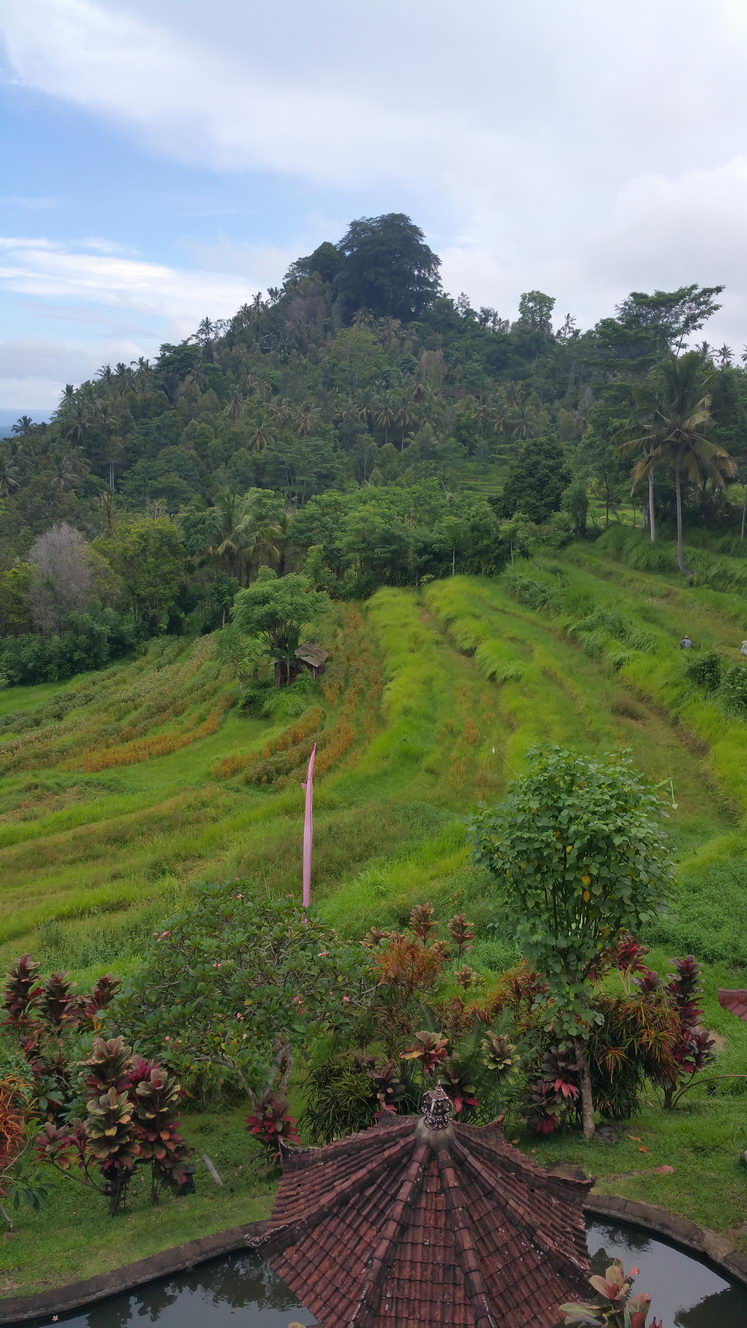 20160208 143105 (2016 04 27 13 46 56 UTC)